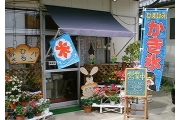 image1.jpg
